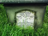 image of grave number 219747